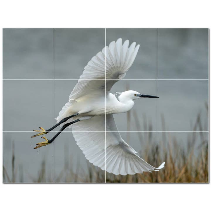 Decorazione murale con piastrelle in ceramica Bird PT500136 per la vendita all'ingrosso da parte di Picture-Tiles.com