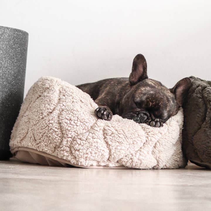 Lambwolf Collective - Wholesale Pet Bed - Dog - TAART//DOG BED5
