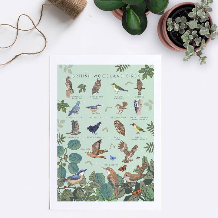 Angie Spurgeon Illustration and Design - Wholesale Art Print - British Woodland Birds Wall Art Print A4 Unframed2