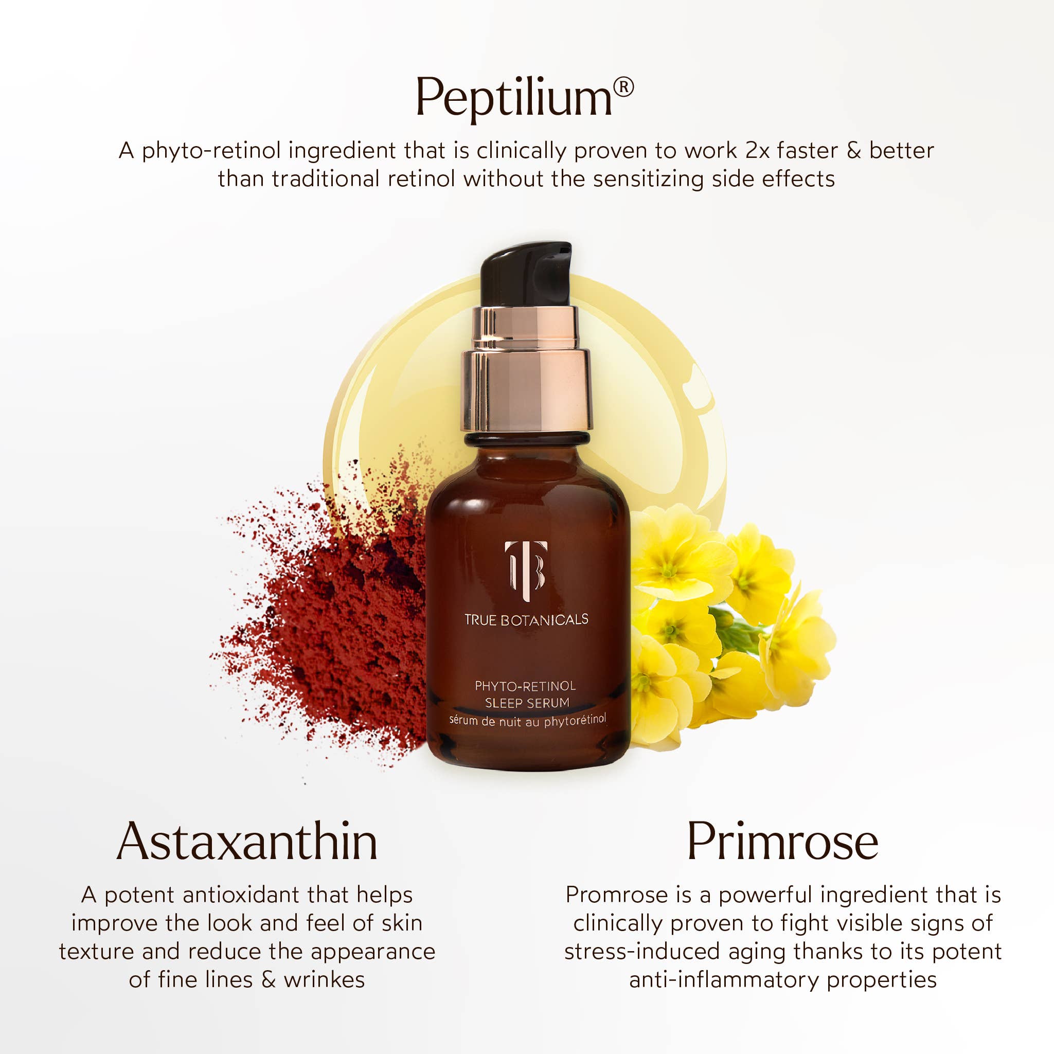 True Botanicals - Wholesale Facial Serum/Concentrate - Phyto Retinol Anti-Aging Sleep Treatment1