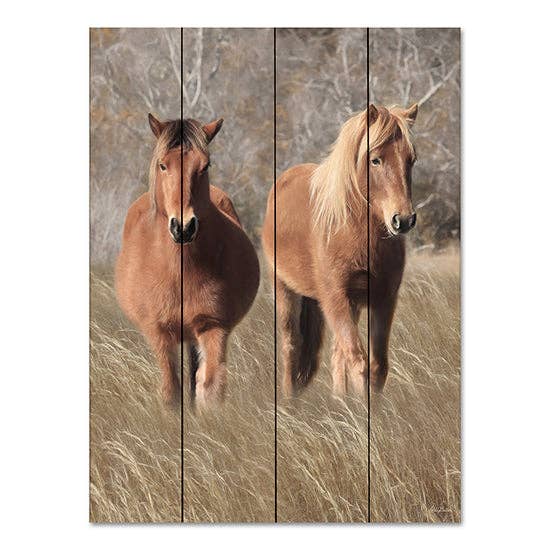 LD2287PAL - Chevaux Assateague IV - 12x16 pour la vente par Penny Lane Fine Art