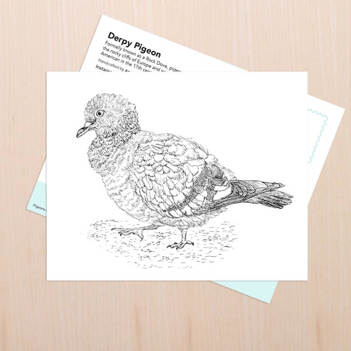 Derpy Pigeon Art for wholesale by Coy Ink Studio