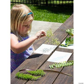 Fun Express - Vente Papiers pour peinture - PAPIER SENSIBLE AU SOLEIL NATURE PRINT (12PC)2