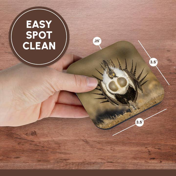3dRose - Wholesale Coasters - 3dRose, USA, WY. Male Greater Sage Grouse displays on a lek in Spring., Coaster13