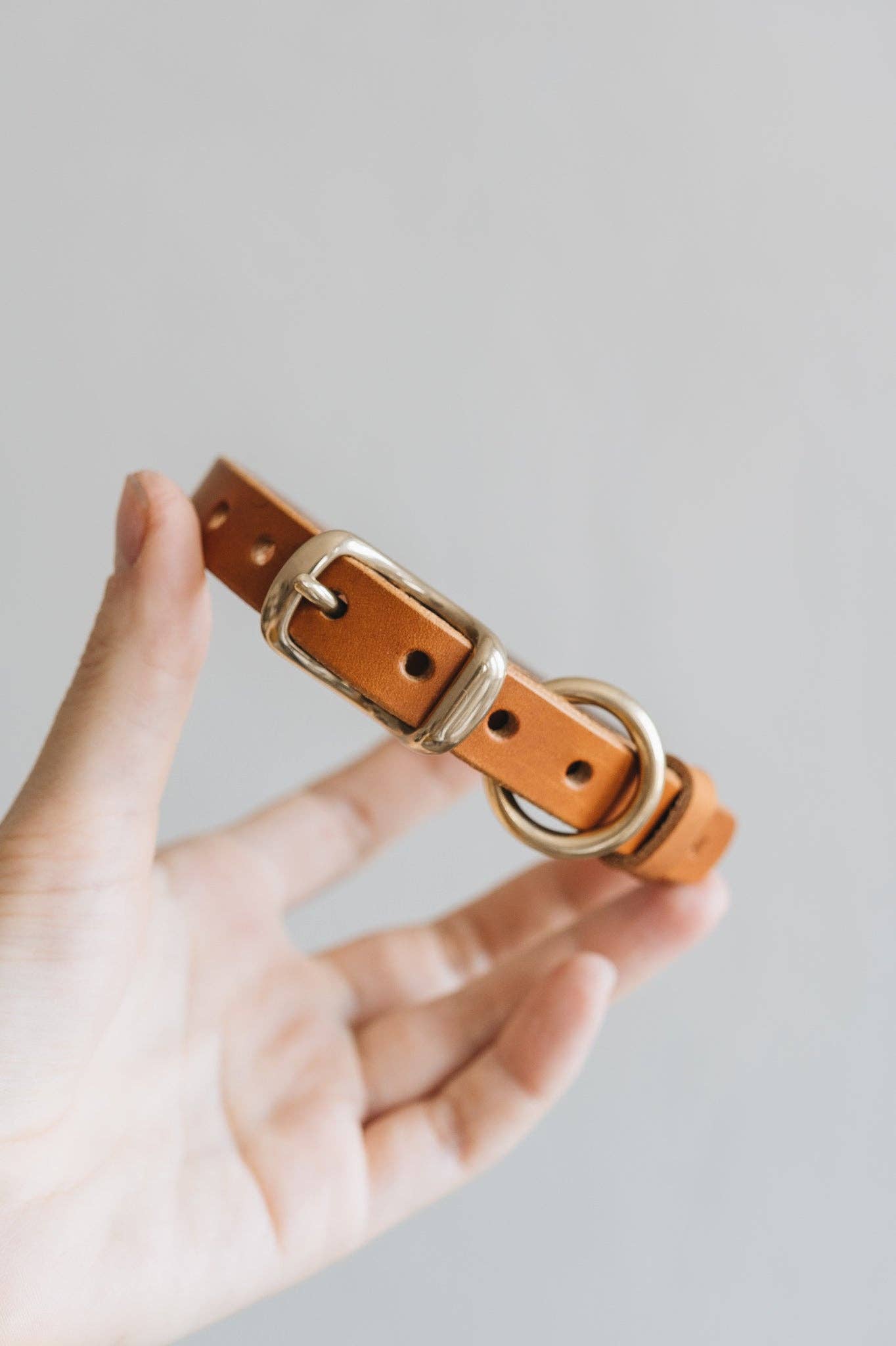 BAND&ROLL – Engroshandel Halsbånd - Hund – LETVÆGTS LÆDER HUND KRAVE. FIR luft3