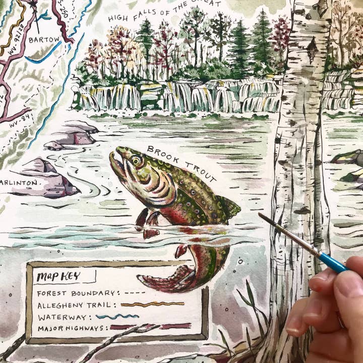 Rosalie Haizlett Illustration - Wholesale Map - Monongahela National Forest Map - Watercolor Art Print8