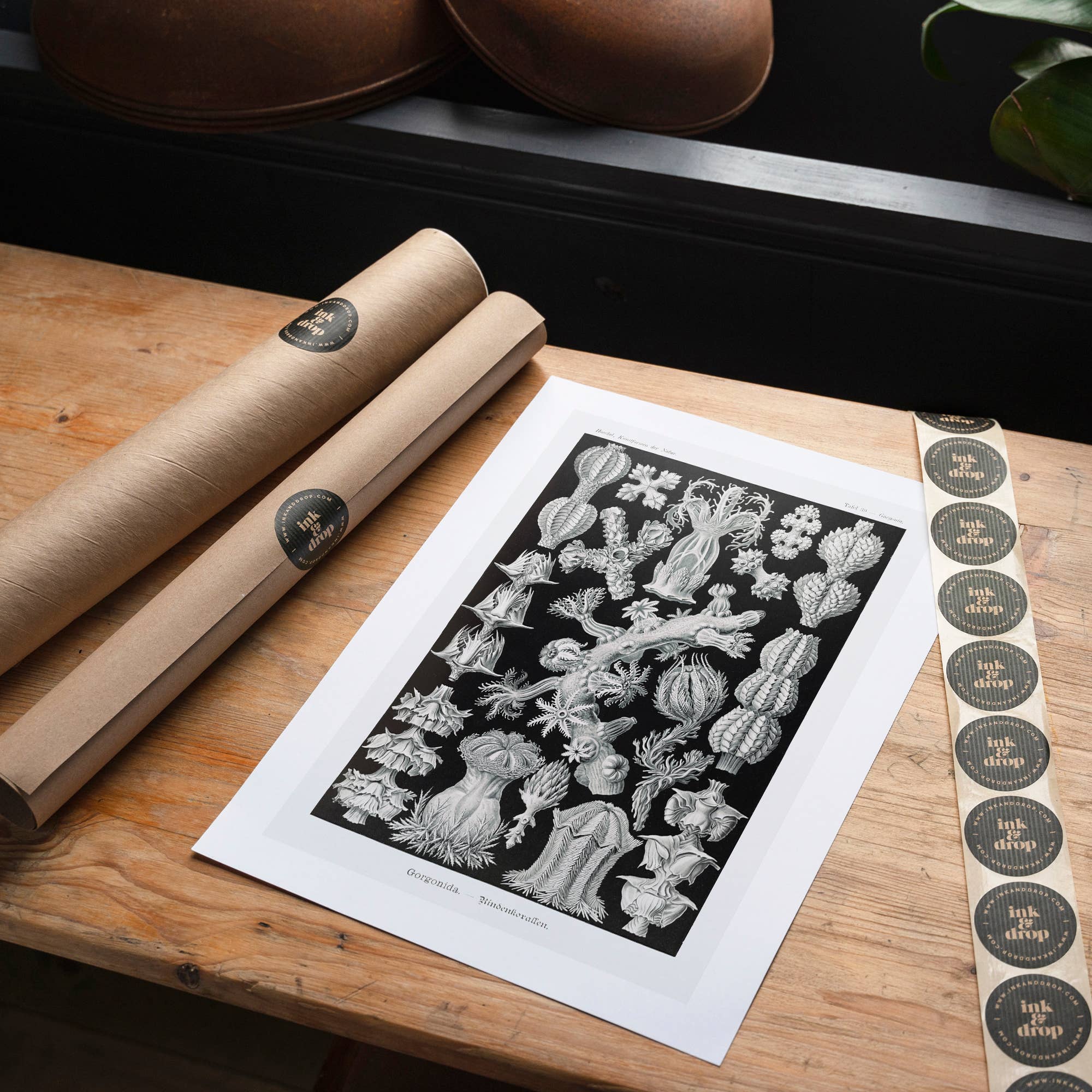 Ink & Drop – Großhandel Kunstdruck – Korallen Schwarz-Weiß-Antik-Print5