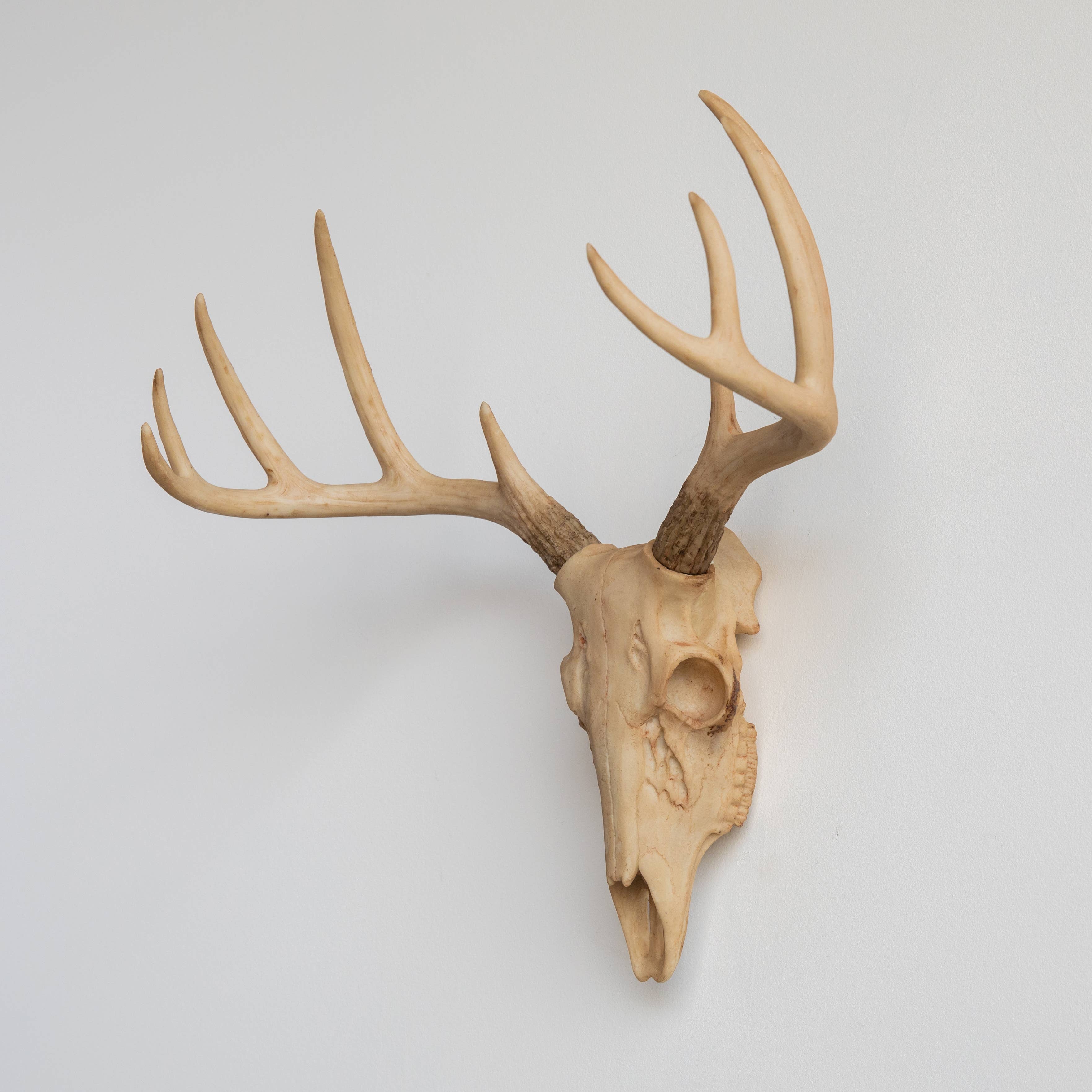 Near and Deer - Wholesale Dimensionele/3D-muurkunst - Faux Mini Buck Skull muursteun19