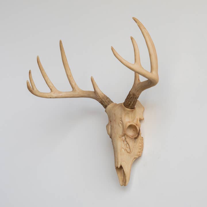 Near and Deer - Wholesale Wall Accent - Faux Mini Buck Skull Wall Mount10