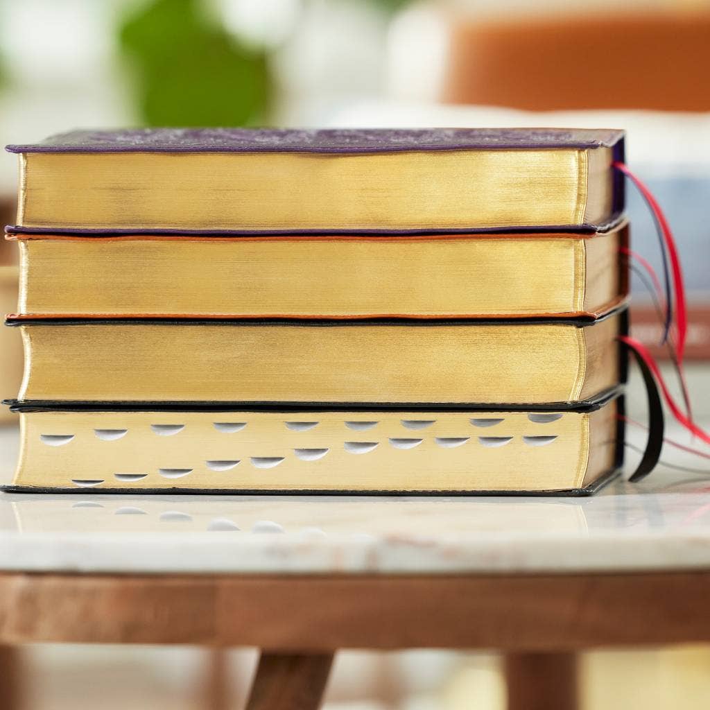 HarperCollins Christian Publishing - Wholesale Reference Book - KJV Large Print Reference Bible Brown Leathersoft5