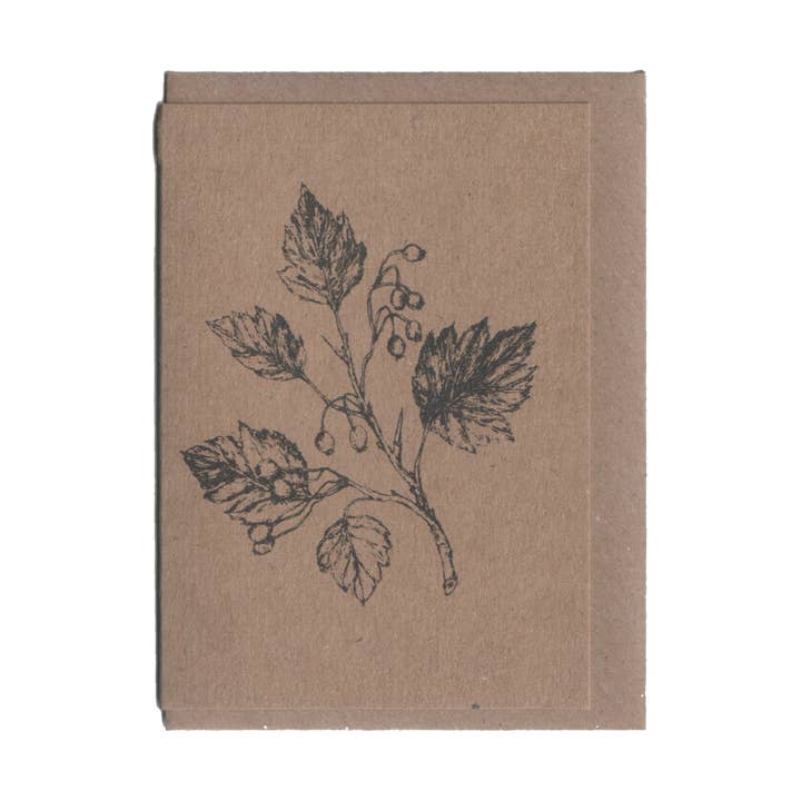 Cartão Risógrafo - Hawthorn A7 por atacado de Paige Mitchell