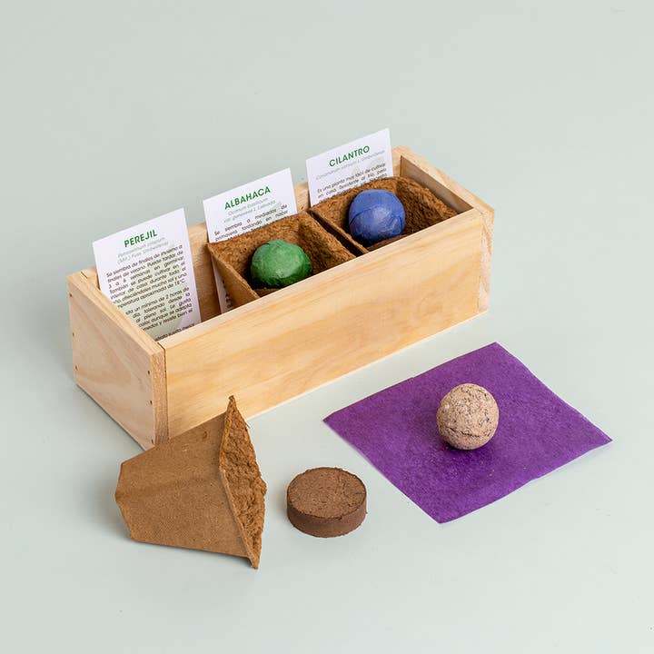 Resetea - Wholesale Plant Seeds - Mini Herb Garden🌿2