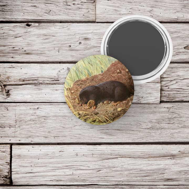 NatureCuts - Venta al por mayor Botón/prendedor - Botón con forma de topo, alfiler con forma de animal, llavero con forma de topo, imán