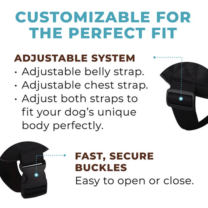 Joyride Harness - Wholesale Pet Harness - Dog - LUXE - Made in USA - Joyride Dog Harness (Solid Colors)11