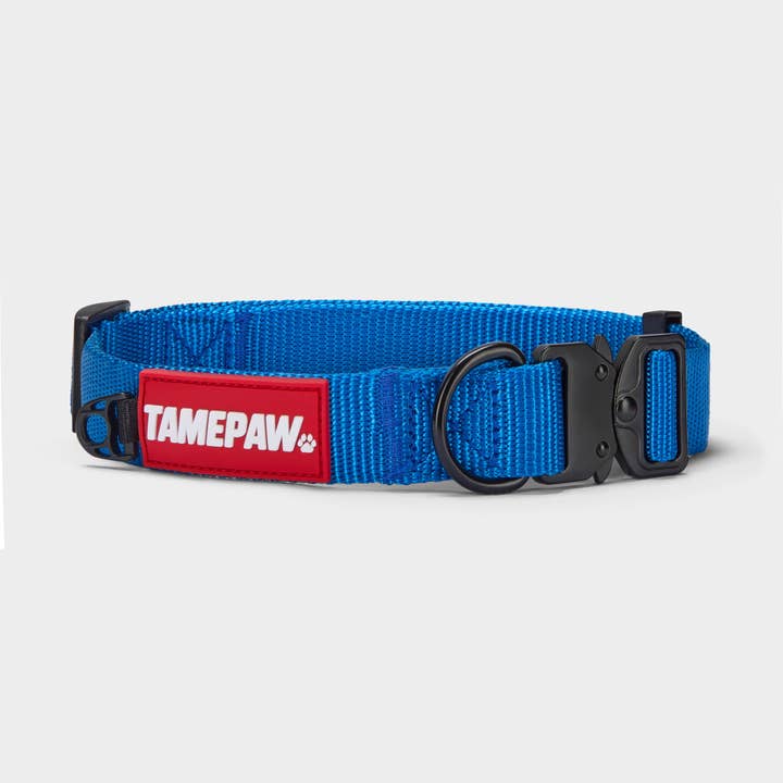 Airform Dog Collar - Blue Edition 001 for wholesale by Tamepaw