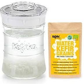 2tech Ltd - Wholesale DIY Food Kit - Kefirko Water KEFIR Kit 848ml with Organic Grains