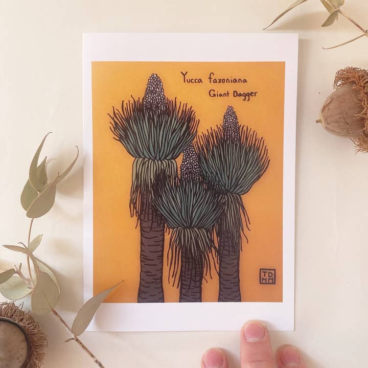 Cartão de felicitações Yucca por atacado de Sonoran Witch Boy