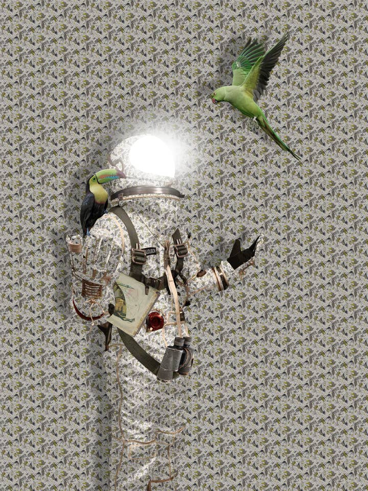 Pattern Series: Flight 18x24 for wholesale by Alter Images Art