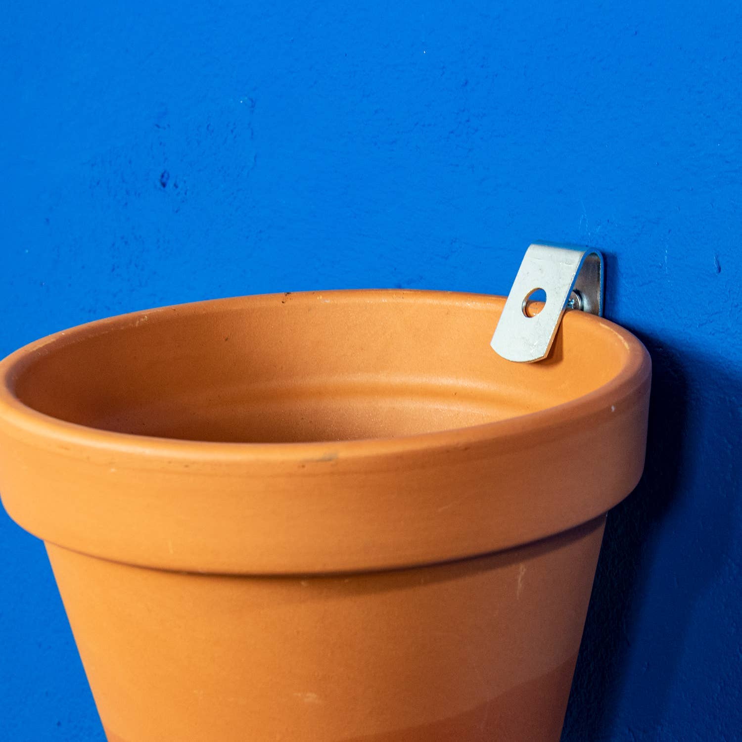 Botanopia USA - gifts , decor and cards for plant lovers - Wholesale Wall Planter - Clippy - Wall mounting kit for 5 plant pots6