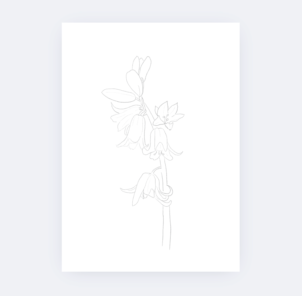 Sarah Ruth Frey - Wholesale DIY Craft Kit - Flowers Watercolor Kit9