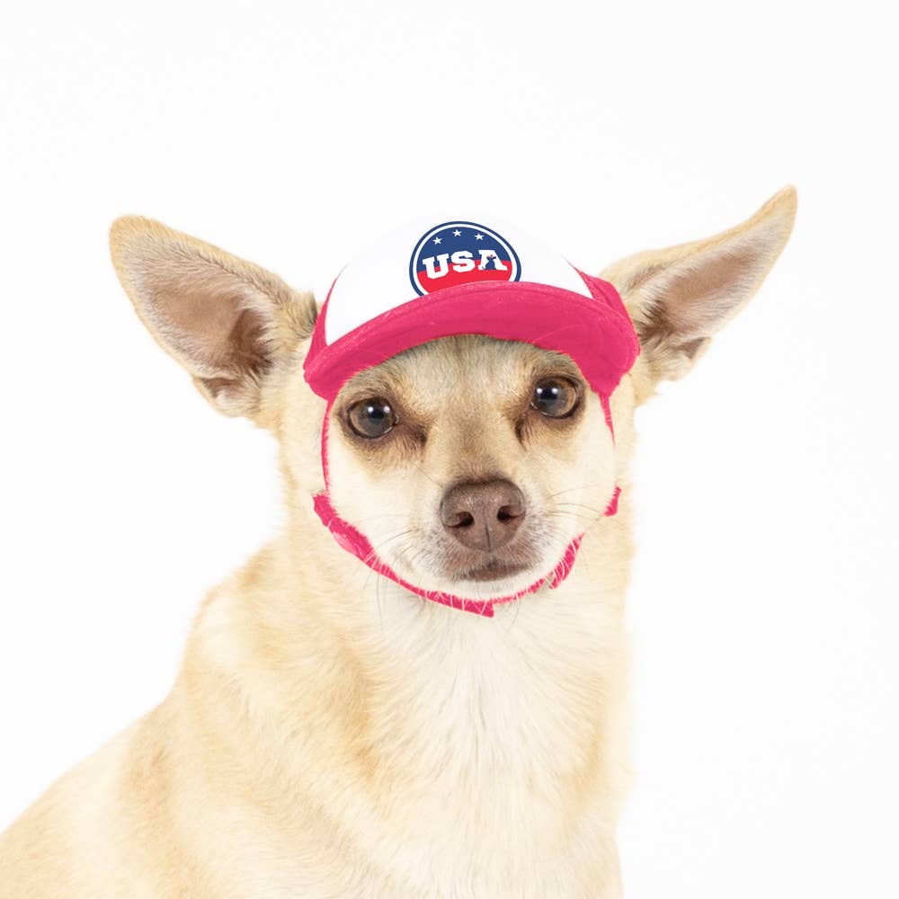 PupLid – wholesale Hatt - Hund – USA Stars Design l Truckerhatt för hundar21