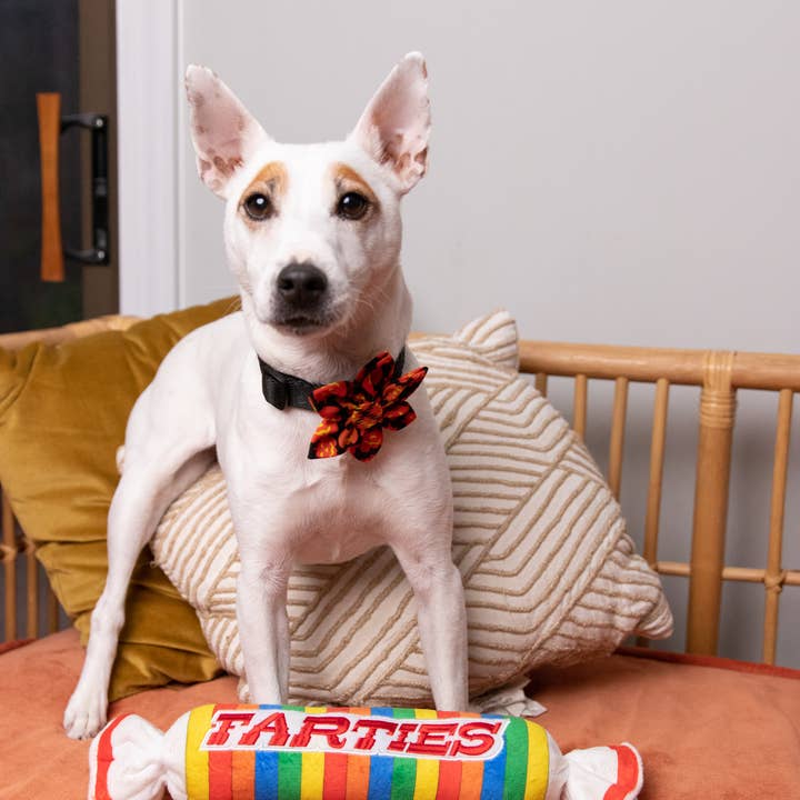 Huxley & Kent - Vendita all'ingrosso Peluche - Cani - Giocattolo per Cani Farties3