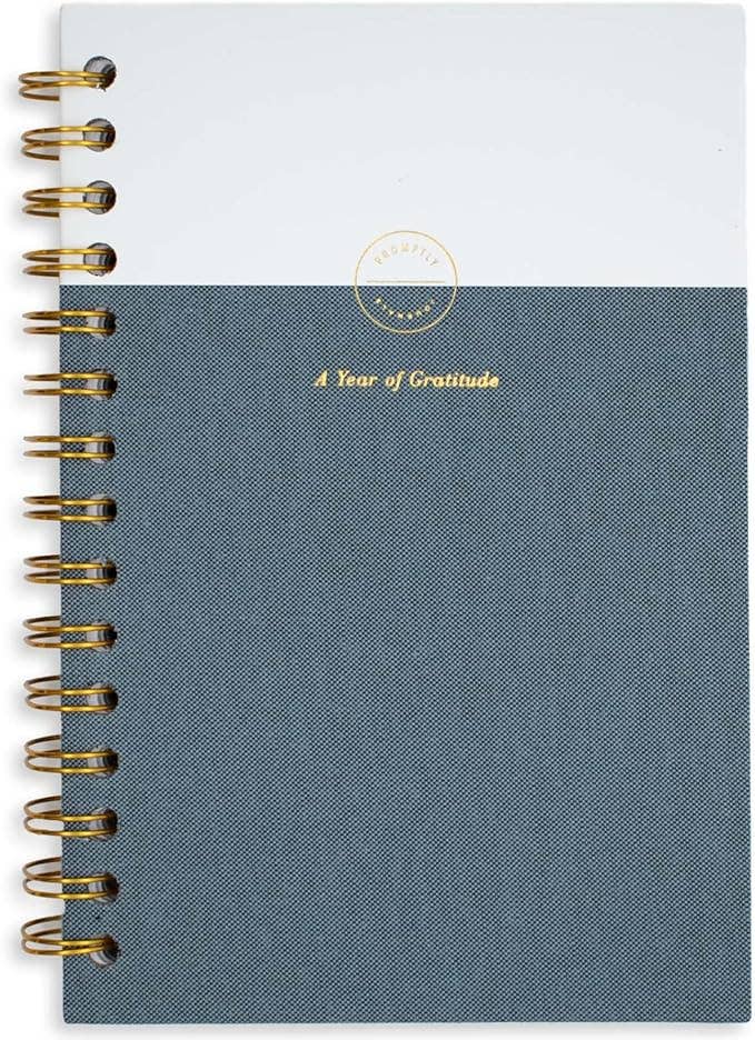 Promptly Journals - Wholesale Dagboek/agenda - Mijn dankbaarheidsdagboek: Een jaar van dankbaarheid schrijfwaren20