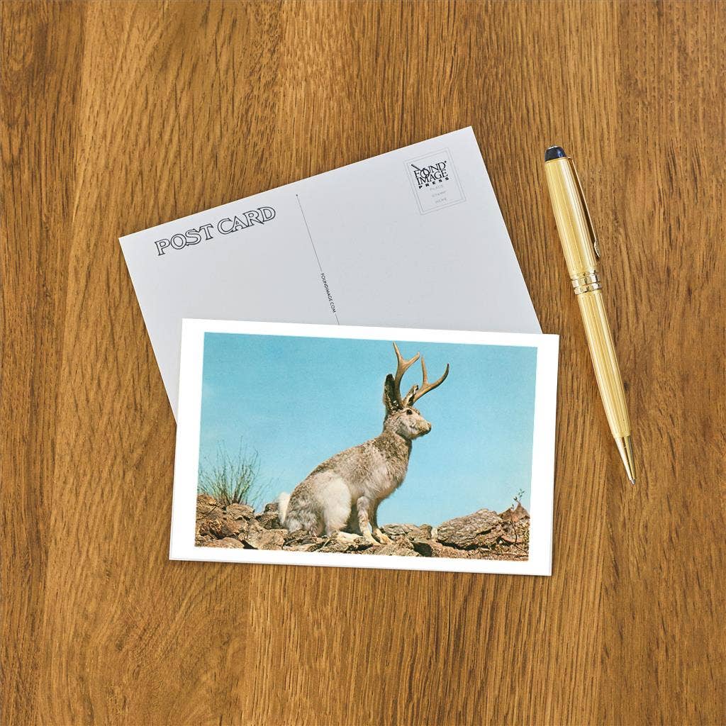 Found Image Press - Wholesale Postcard - Postcard NP-495 Jackalope1