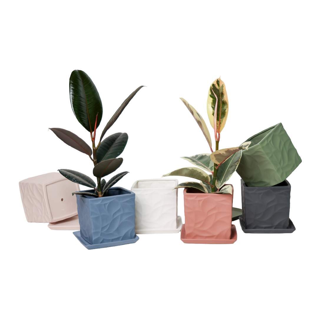 Chive - Wholesale Plant Pot - Handmade Ceramic Virago Pots | Artisan Plant Planters31