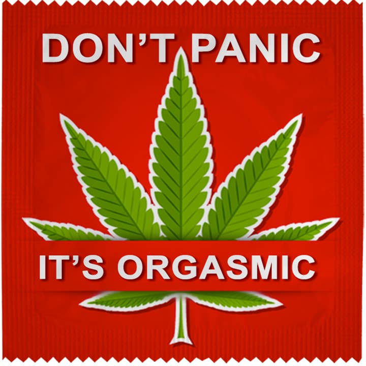 CALLVIN EU - Wholesale Gag Gift/Novelty Gift - Condom : Préservatif: Don't Panic It's Orgasmic1