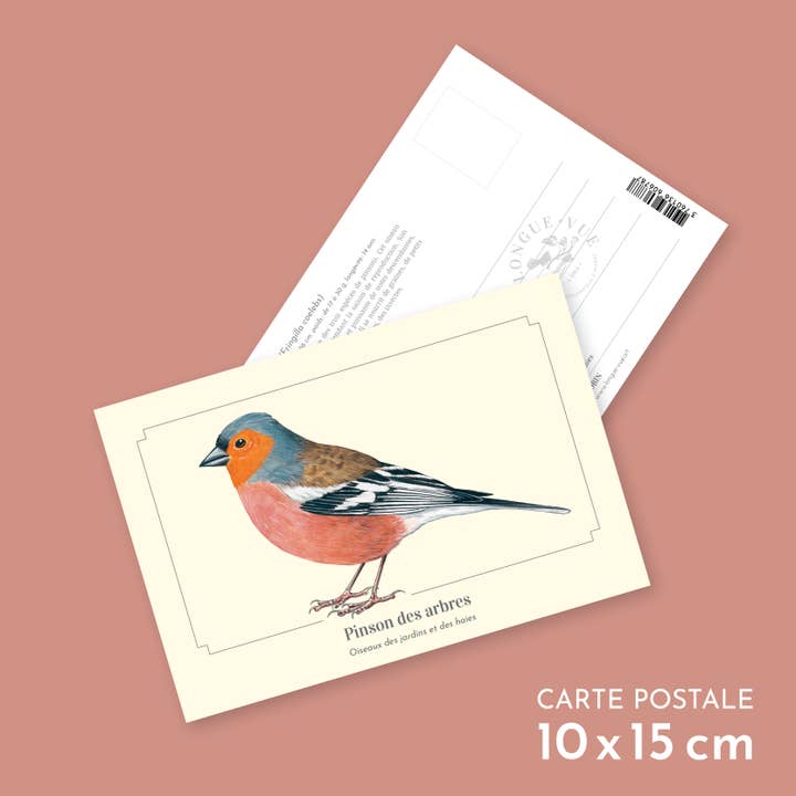 Chaffinch - Postcard for wholesale by Longue-vue