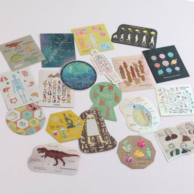 Green Flash STUDY HOLIC Aurora Stickers for wholesale by Greeting Life America