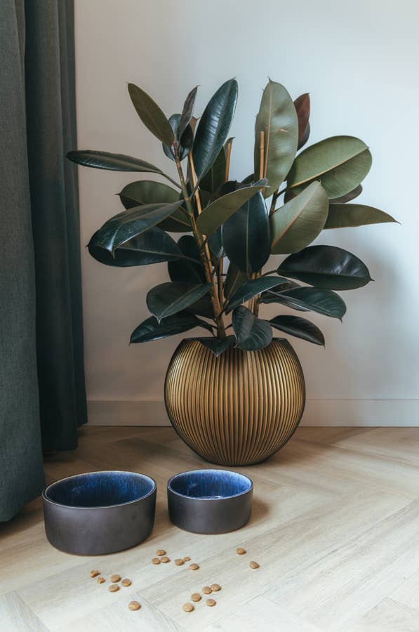 AVA bowls - Wholesale Pet Bowl - Cat/Dog - Ceramic food bowl Manta