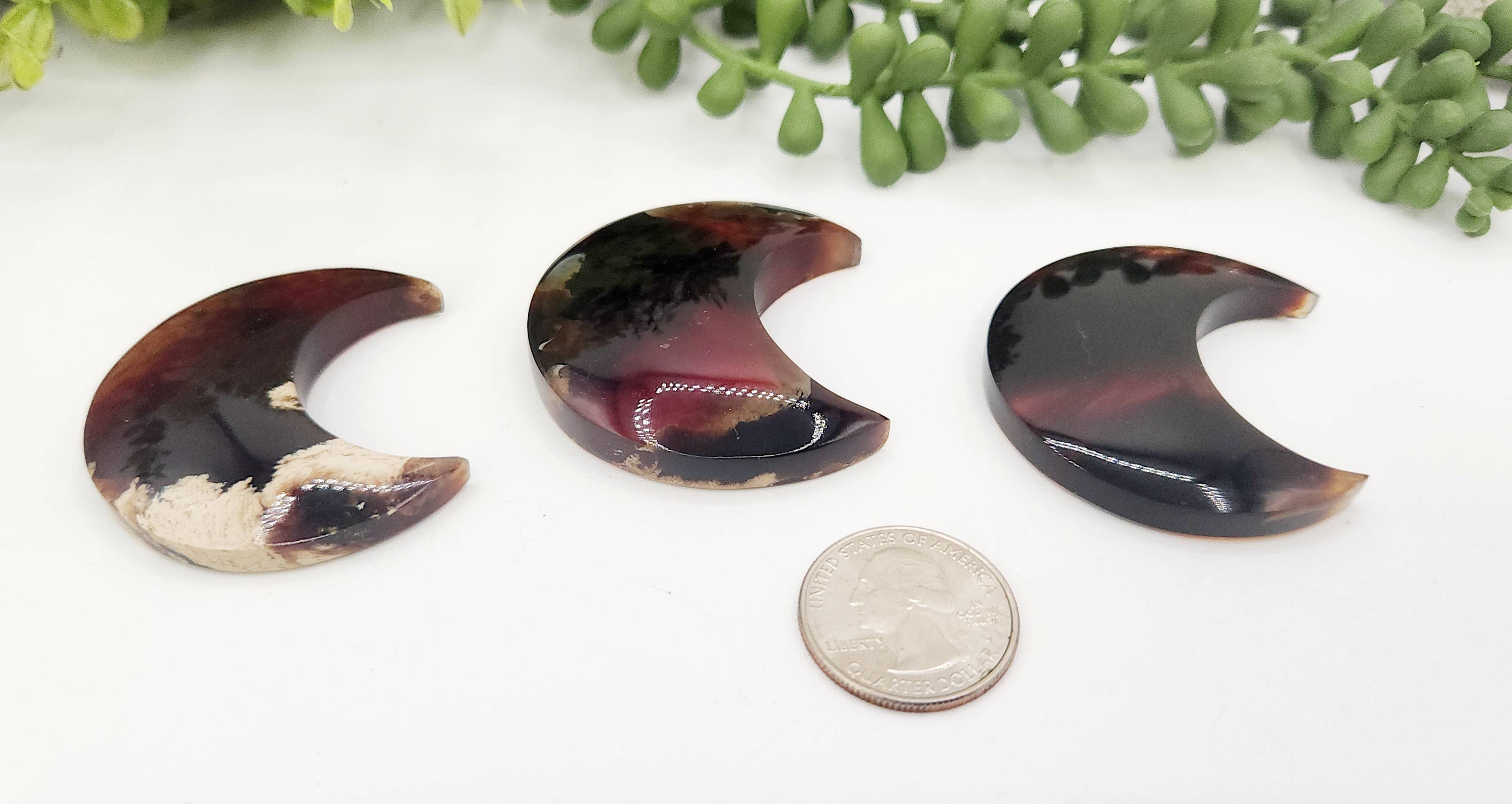 Meraki Gemstones - Wholesale Spiritual Stone/Crystal - Amber Moon Shape (Approximately 50mm) 100% Natural Amber6