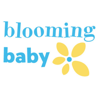 Wholesale Garden Dreams Zipadee-Zip Swaddle Transition for your