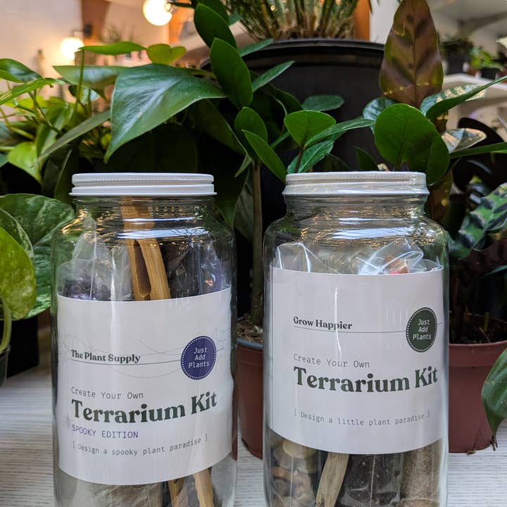 The Plant Supply - Wholesale DIY Craft Kit - Halloween DIY Terrarium | Fall Plant Craft Kit5