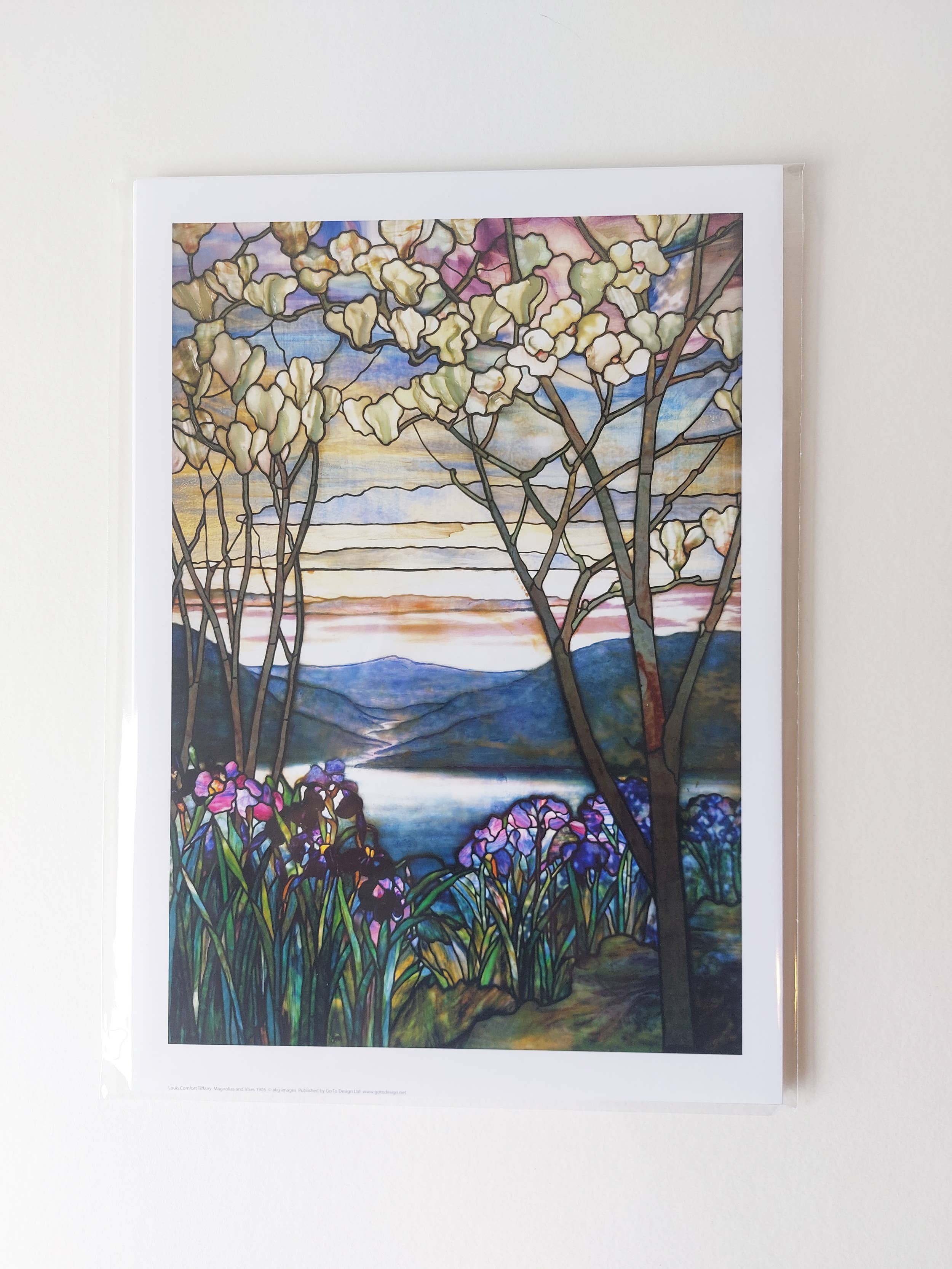 Go To Design - Wholesale Art Print - Fine art print Magnolias and Irises unframed wall art1