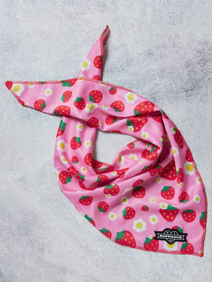 Strawberry Cooling Bandana for wholesale by Ruffhaus NYC