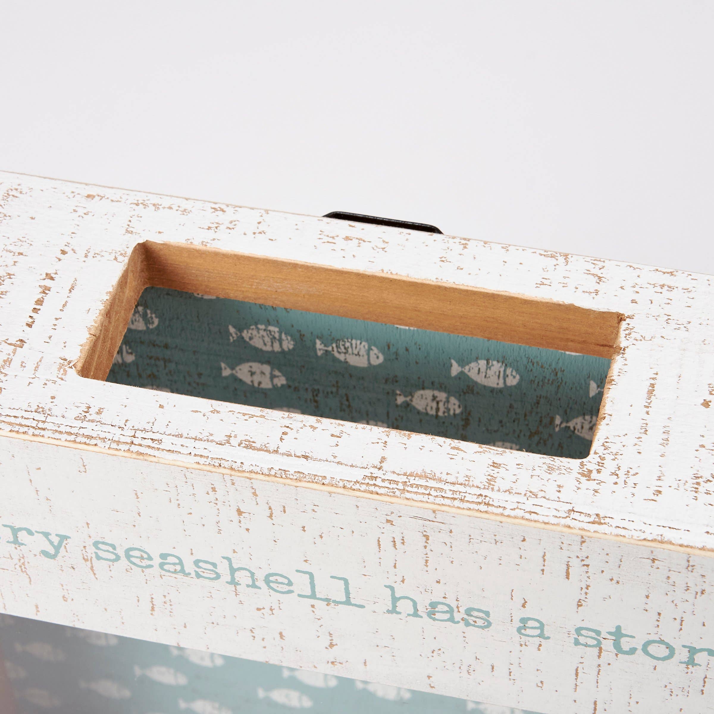 Primitives by Kathy - Wholesale Decorative Box - Every Seashell Shell Holder3