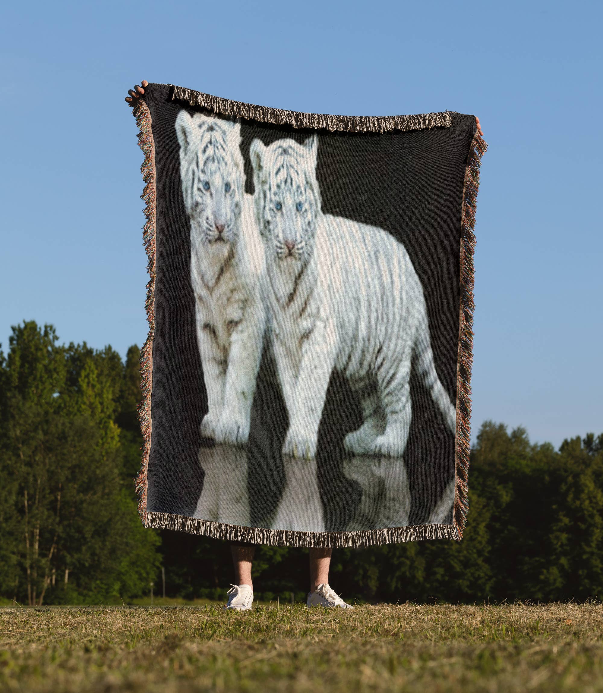 3dRose - Wholesale Throw Blanket - 3dRose, White Tiger Cubs, Blanket1