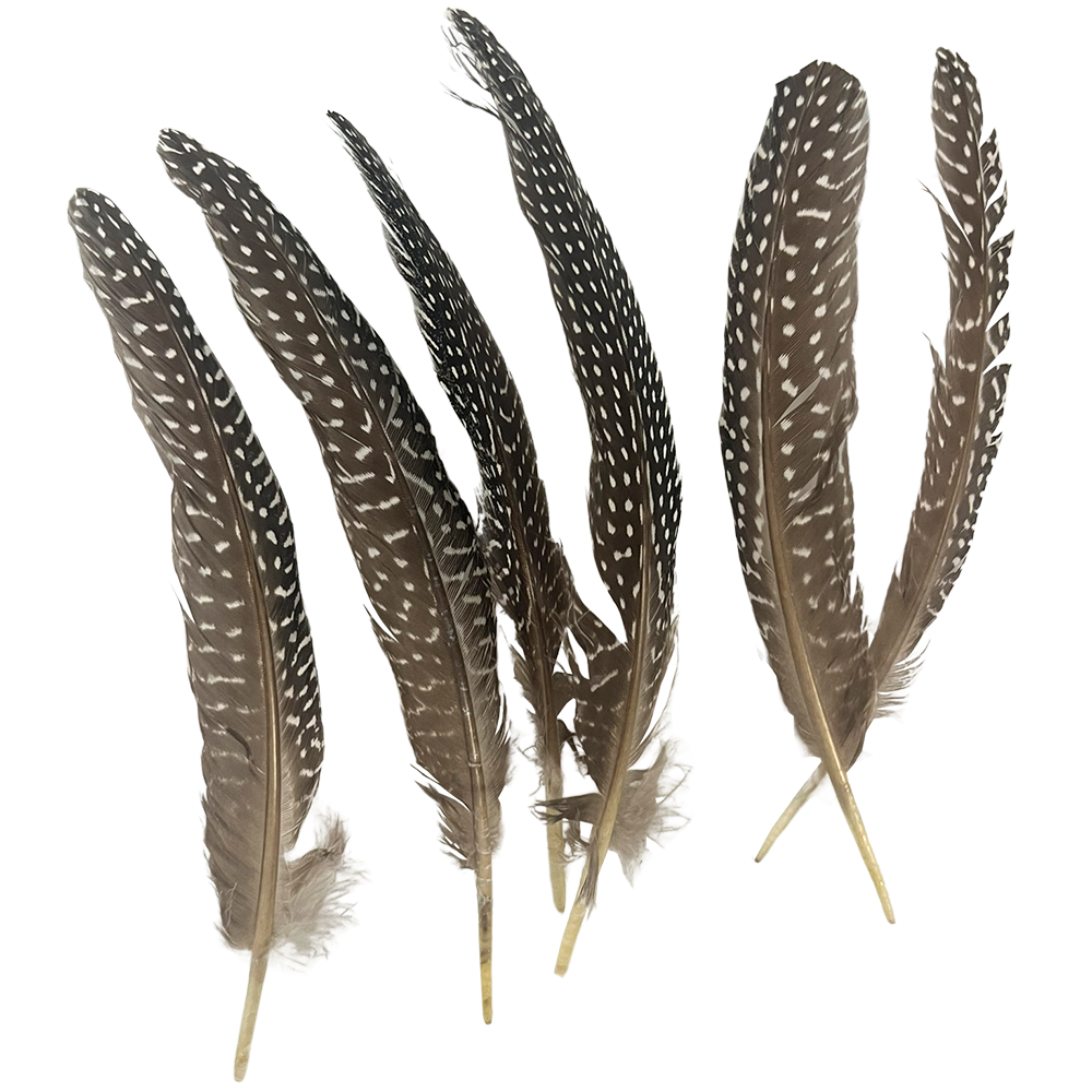 VIE – Großhandel Räucherbündel – Truthahnfeder, natur, 15-20 cm, einzeln2