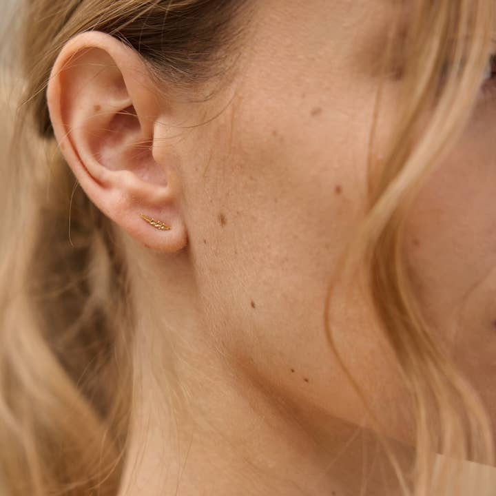 Nadja Carlotti - Wholesale Stud/Post Earrings - TRIO OF LEAF STUD EARRINGS3