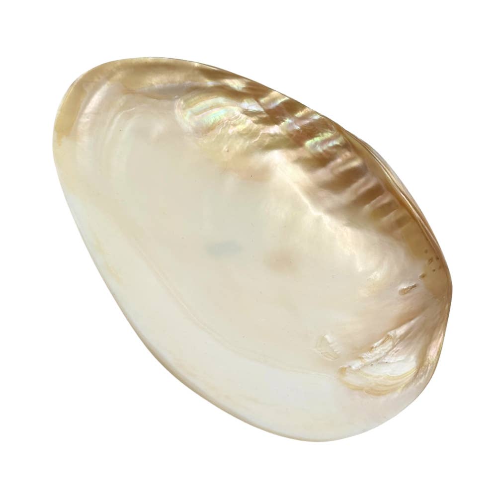 Earths Elements Wholesale - Wholesale Smudge Plate - Bowl - Cebu Clam Shell1