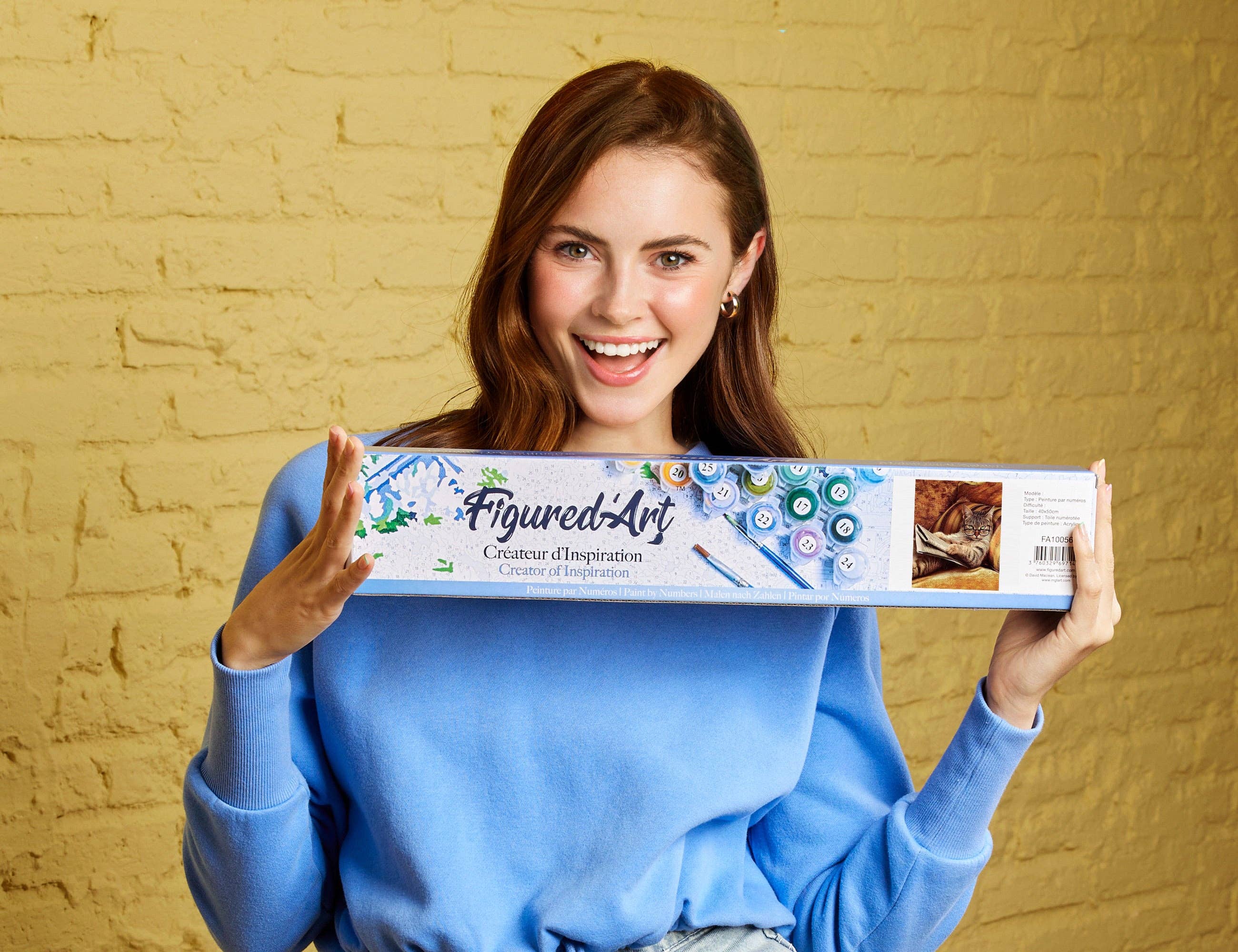 Figured'Art - Wholesale DIY Craft Kit - Paint by numbers - Don't mess with This Cat1