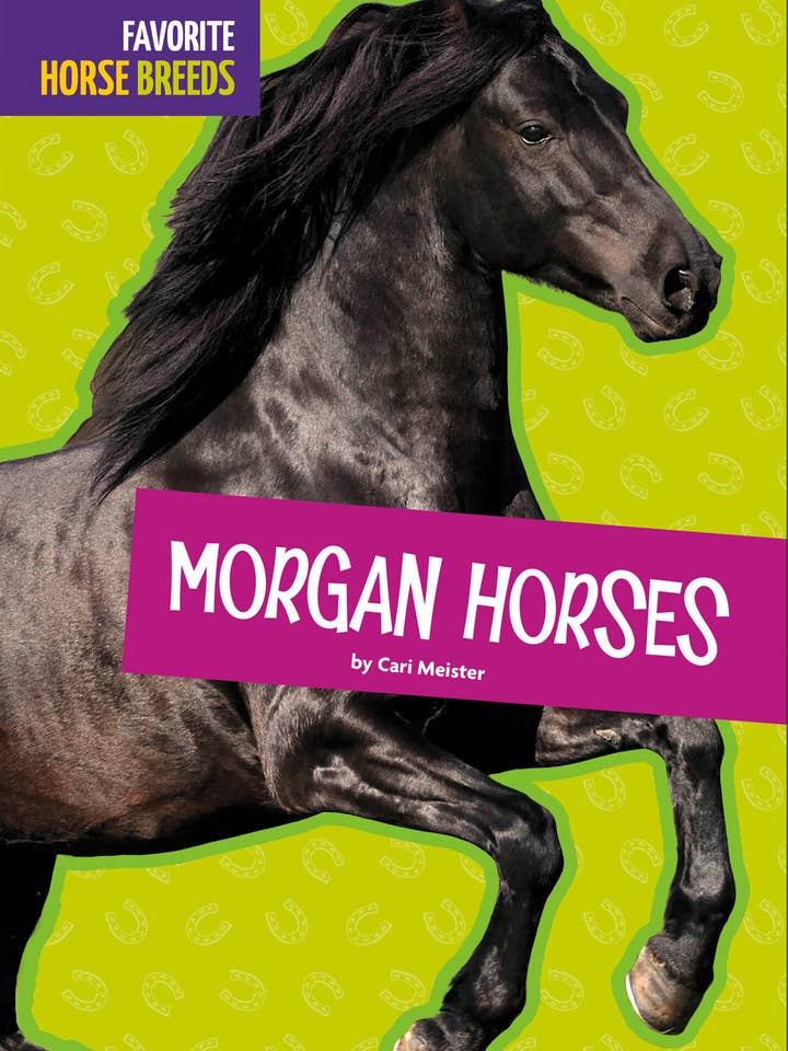 Morgan Horses for wholesale by Amicus Publishing