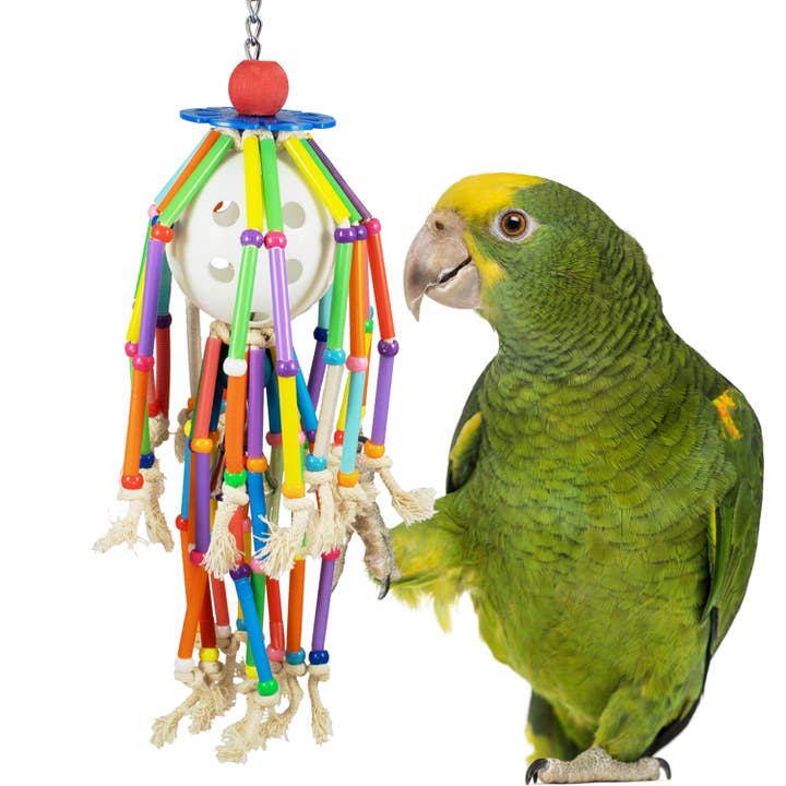 Super Bird Creations, LLC - Wholesale Bird Swing/Toy - Squiggy
