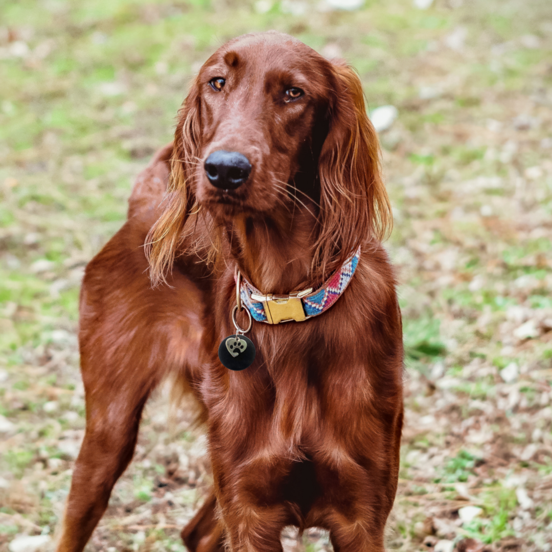 Karelia Creations – wholesale Halsbandsberlock - Katt och hund – Halsbandshänge i shungit för stora XL-hundar | EMF-skydd8