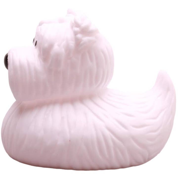 Duckshop - Wholesale Bath Toy - Baby - Westie Rubber Duck - Dog - Rubber Duck