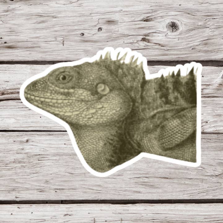 Leguanklistermærke, firbenklistermærke, krybdyrklistermærke for engroshandel hos NatureCuts