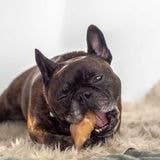 Kivo Petfood - Vendita all'ingrosso Snack - Cani - Snack per cani - Zoccoli di vitello - 10 pezzi1